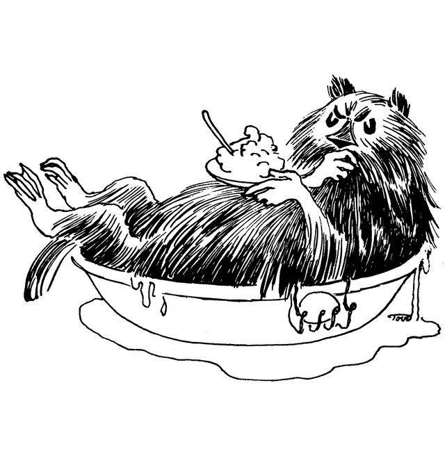 Muskrat sitting in a tub